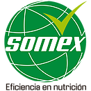 AdminLTE Logo